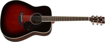 Best Acoustic Guitar For Beginners?