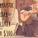 Best Acoustic Guitar Amplifier under $300