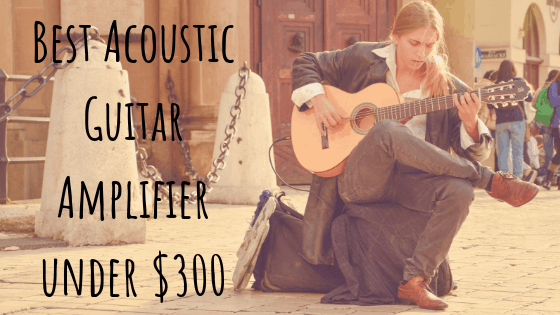 Best Acoustic Guitar Amplifier under $300