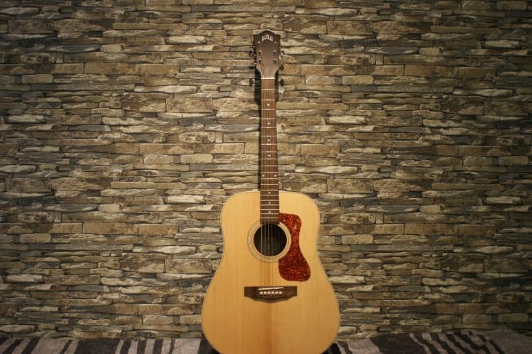 Best Acoustic Guitars with Low Action and Thin Neck