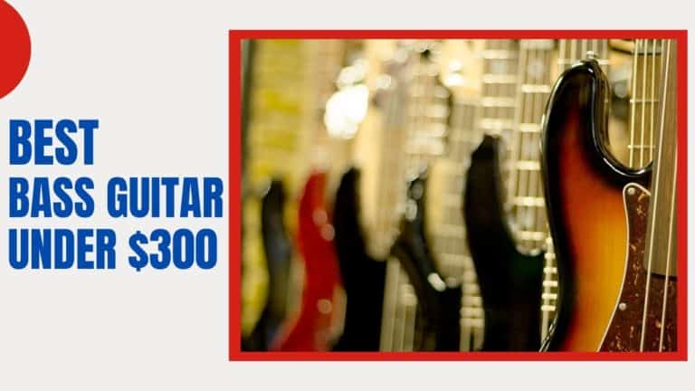 Best Bass Guitar Under $300